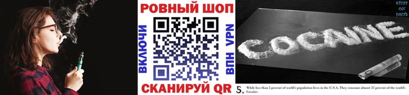 МЕФ Новозыбков